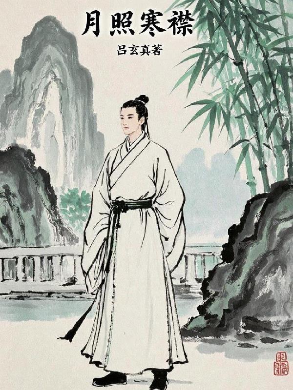 月照寒襟封面