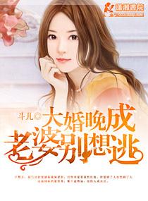 閃婚寵妻無(wú)度封面