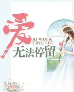 愛無法停留封面