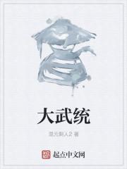 大武統(tǒng)封面