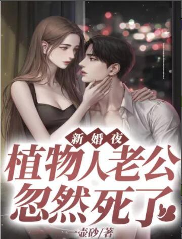 簡(jiǎn)桐顧青斐封面