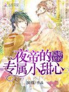 景昱落鳶小說(shuō)封面