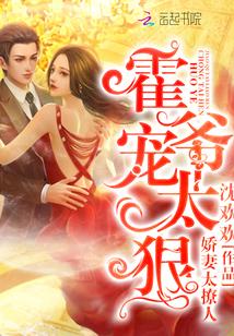 傅司寒宋晚檸封面