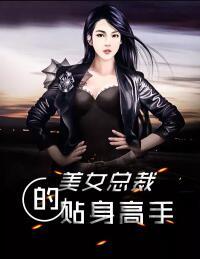 美女總裁的貼身高手封面