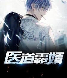 醫(yī)道霸婿封面