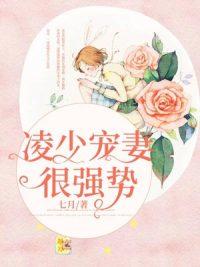 凌少寵妻很強(qiáng)勢(shì)封面