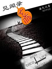 武道醫(yī)婿小說封面