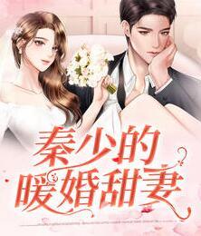 秦少的暖婚甜妻封面