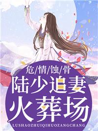 危情蝕骨：陸少追妻火葬場(chǎng)封面