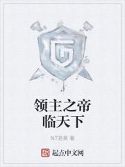 領主之帝臨天下封面