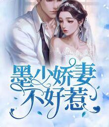 墨少嬌妻不好惹封面