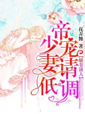 550370蘇棠傅枕書封面