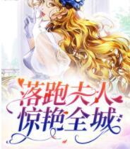 顧傾城京瀾辰免費(fèi)閱讀封面