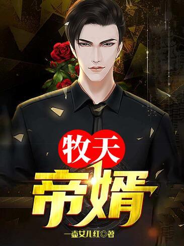 牧天帝婿全文免費閱讀封面
