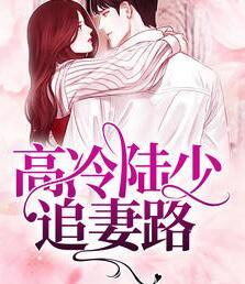 林千夏陸云琛封面