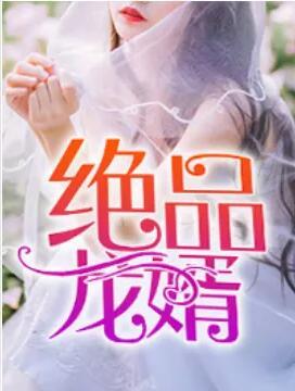 絕品龍婿封面
