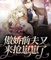 傲嬌前夫又來搶崽崽了封面