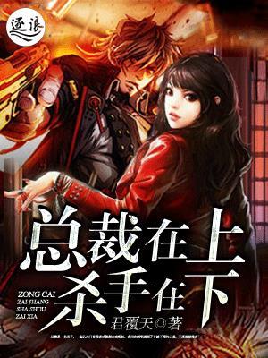 冷菱南宮夜笙小說封面