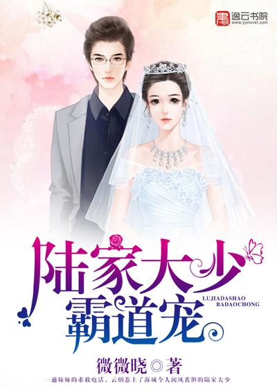 章嵐鑫孟良洲孟良辰封面