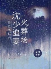 官宣離婚后，沈少追妻火葬場封面