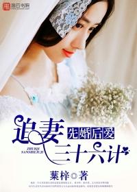 永安調(diào)小說(shuō)封面