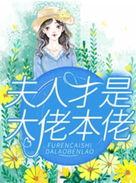 葉晚晚慕城免費(fèi)小說封面