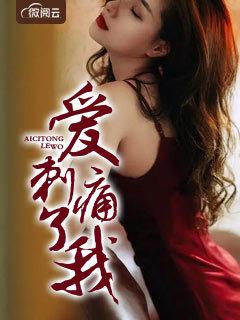 愛刺痛了我封面