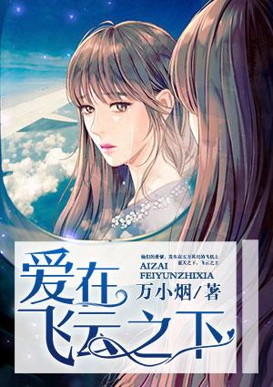 愛(ài)在飛云之下免費(fèi)閱讀封面