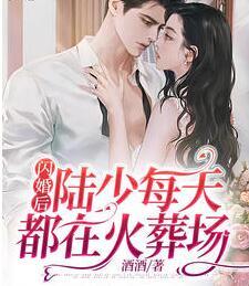 閃婚后,陸少每天都在火葬場南歌陸云霆封面