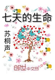 宋蓮文天小說(shuō)封面