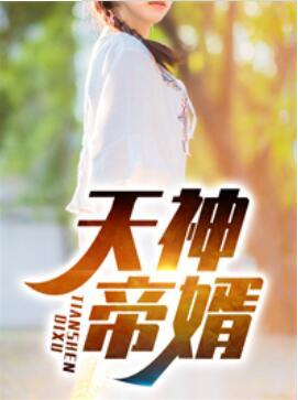 趙蒼穹小說天王帝婿在線閱讀封面