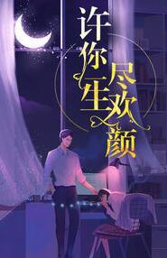 許你一生盡歡顏封面