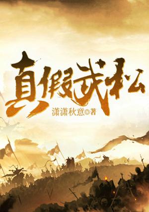 西門慶小翠封面