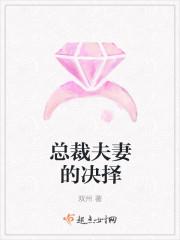 獨(dú)留清風(fēng)醉楚蕓蕭齊煜封面