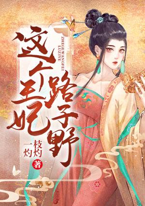 夏云晚夜溯宸封面