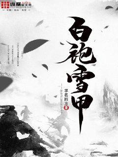 白袍雪甲封面