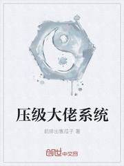 花落明月小說封面
