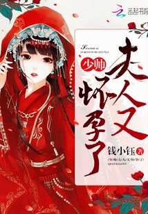 少帥，夫人又懷孕了封面