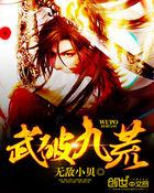 武破九荒封面
