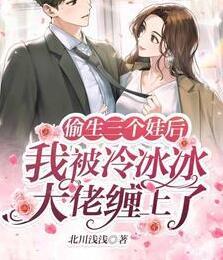 主角葉晚晚皇甫修閻封面