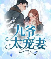 沈未晚傅九葉封面