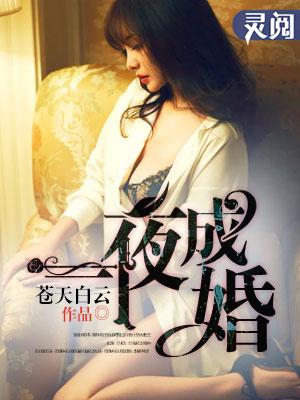 一夜成婚封面