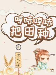 李星白錦兮封面