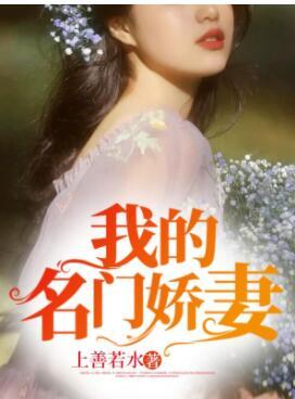 我的絕美小嬌妻封面