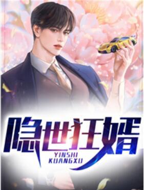 隱世狂婿封面