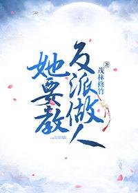 撞衫名牌包小說(shuō)封面