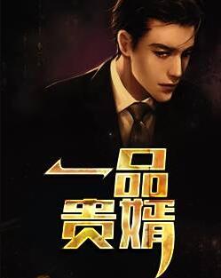 一品貴婿封面