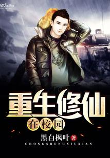 蘇錦和元景的小說封面