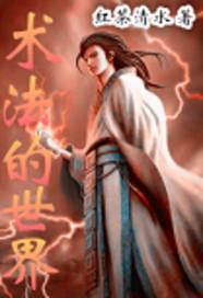 段爺，夫人又去算命了封面