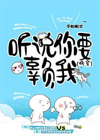 彼時(shí)流年似水魏璇月小說封面